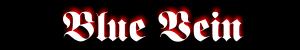 bv logo
